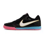 Chuteira Futsal NIKE SB Gato